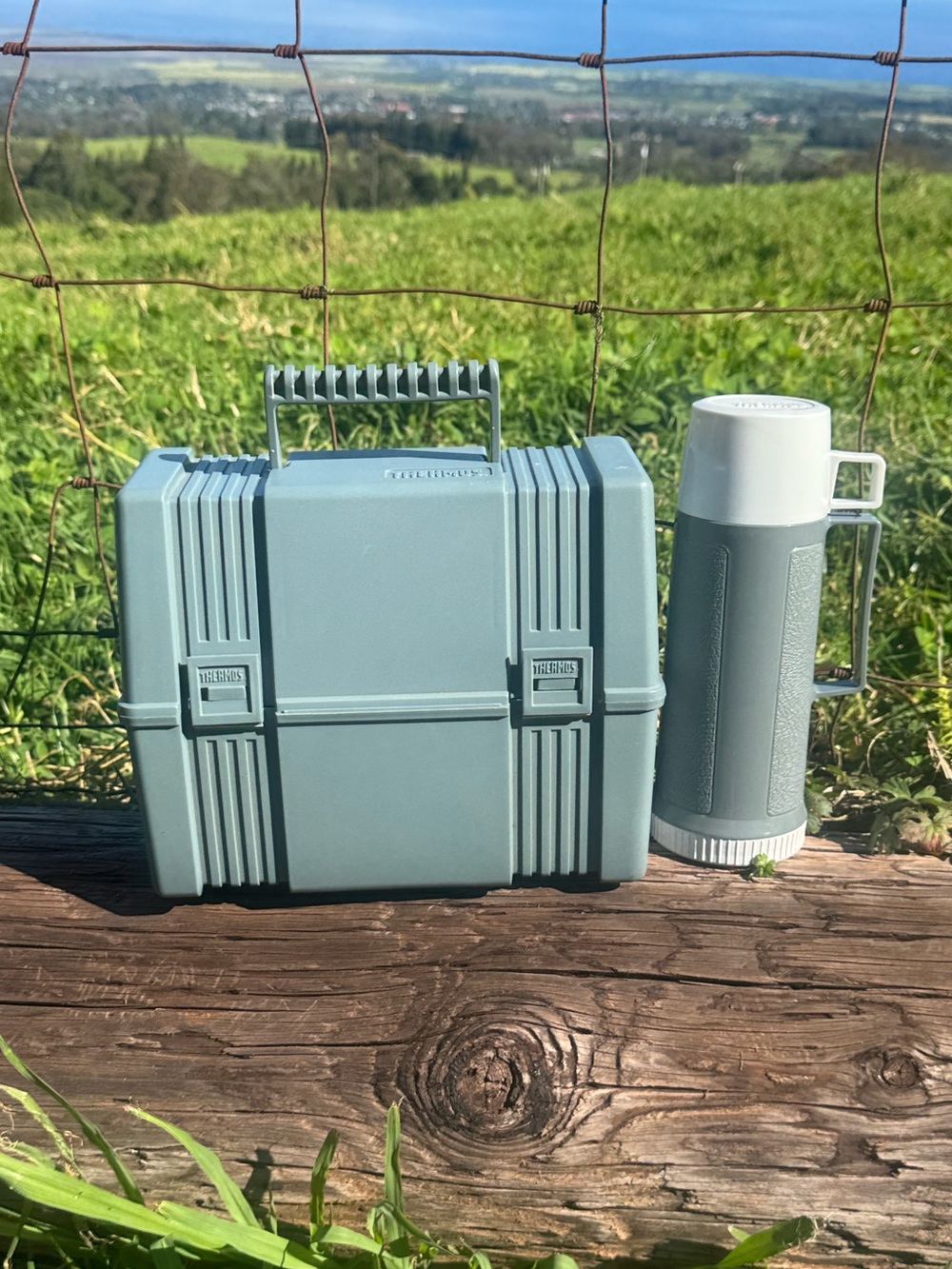 Vintage 80s 90s Thermos Workman Plastic Gray lunchbox set